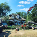 The Importance Of Regular Tree Maintenance In Fayetteville: Why Hiring An Extermination Company Is Essential