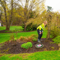 The Importance Of Tree Maintenance For A Healthy Lawn In Derry, NH