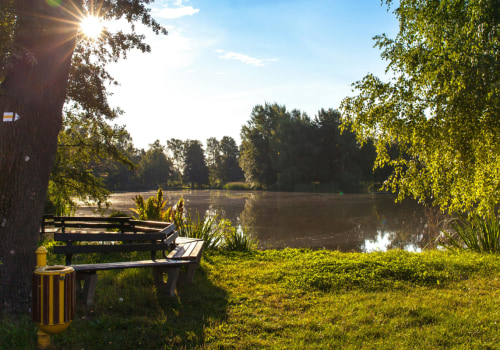 Why Commercial Pest Control Is Essential For Effective Tree Maintenance In Las Vegas, NV